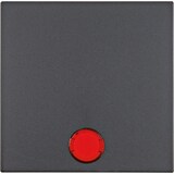 thumbnail of Berker Wippe anth matt 16211606