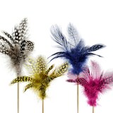 thumbnail of Plumes Wild Plume Les Plumes Coloris Aléatoires Hauteur : 10 cm x 200 Mondo Déco
