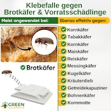thumbnail of Brotkäfer Falle mit Spezial-Lockstoff: 15