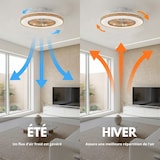 thumbnail of Lumisky Ventilateur Plafond LED WOODIA D48cm Effet bois Aluminium Beige