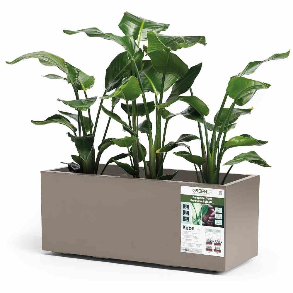 EURO3PLAST Kasten GREENER KEBE 100 cm taupe 3154G9