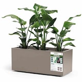 thumbnail of EURO3PLAST Kasten GREENER KEBE 100 cm taupe 3154G9