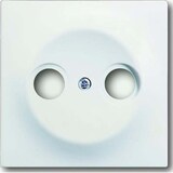 thumbnail of Busch-Jaeger Zentralscheibe stws mt 1743-774 2CKA001753A0168