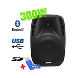 thumbnail of GEMINI ES08BLU Enceinte active - Boomer 8"+ Clé USB 32G