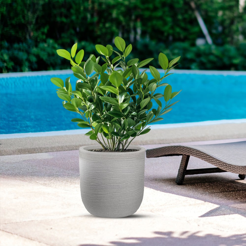 Divina Garden -  Harzvase für den Innen- und Außenbereich für Designer-Zylinderpflanzen, D.35x34h, Raffaello Beige