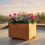 thumbnail of IvoQ Vierkante Plantenbak Hout - Voor Buiten & Binnen - Luxe Houten Bloembak - FSC Gecertificeerd - 40x40x32 cm