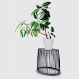 thumbnail of Prosperplast - Conjunto de 2 cestos decorativos de jardim/mesas laterais CLUBO, dimensões: 568x348x450 mm, antracite