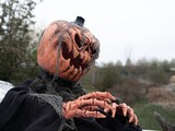 thumbnail of Kürbismonster - bewegte 50cm Halloween Figur mit Licht und Geräuschen