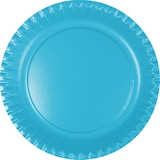 thumbnail of 10 große Teller türkis blau mit Bio-Beschichtung