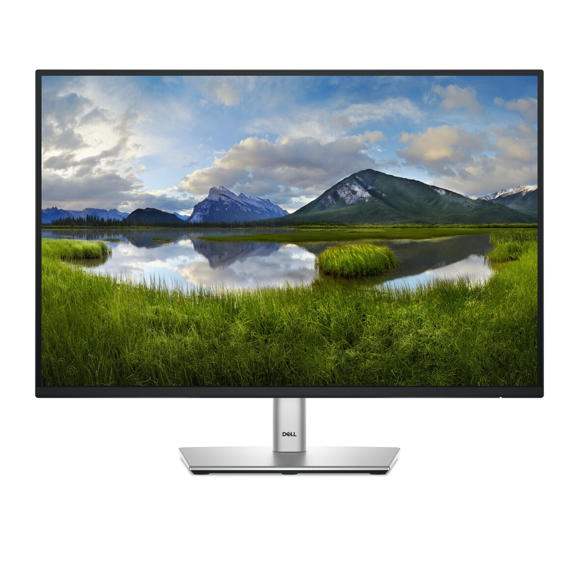 DELL P Series P2425E Computerbildschirm 61,1 cm (24.1") 1920 x 1200 Pixel WUXGA LCD Schwarz