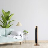 thumbnail of Termoventilador Ceramico Vertical 2000w Oro Con Mando A Distancia