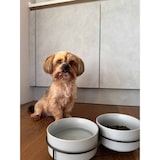 thumbnail of Ritzenhoff & Breker Taro Futternapf ø 17 cm