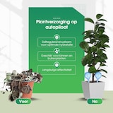 thumbnail of HGMD Waterdruppelaar set van 8 stuks voor planten blauw - Blauw