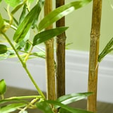 thumbnail of HOMCOM 2 piezas plantas artificiales con maceta plantas sintéticas de bambú con 498 hojas para decoración en salón oficina casa Ø15x120 cm verde