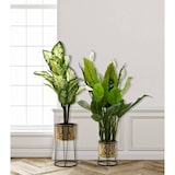 thumbnail of Conjunto de porta-vasos leavy 2 peças cm ø 21x40-19x22