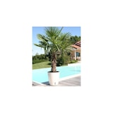 thumbnail of Pot en plastique rond avec réserve d'eau 30 cm Eva bleu Riviera