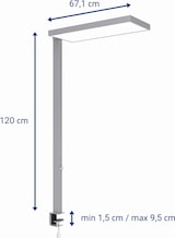 Eine Stehlampe mit Klemmfuß und verstellbarem Arm.
