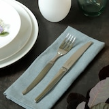 thumbnail of Fourchettes de table Jet Lou Laguiole