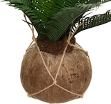 thumbnail of WellHome - Künstlicher Palmentopf 55x50cm