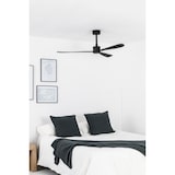 thumbnail of AMELIA Schwarzer Deckenventilator