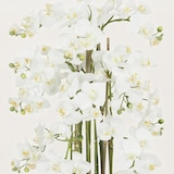 thumbnail of LIGNE DÉCO Orchidées artificielles 80cm