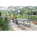 thumbnail of acamp 4-er Set Auris Stapelsessel