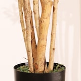 thumbnail of Planta artificial Olivo Rústico 180cm - Naturing Monde - Interior