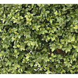 thumbnail of VERT ESPACE plante artificielle buis boule new uv resistant 72 cm