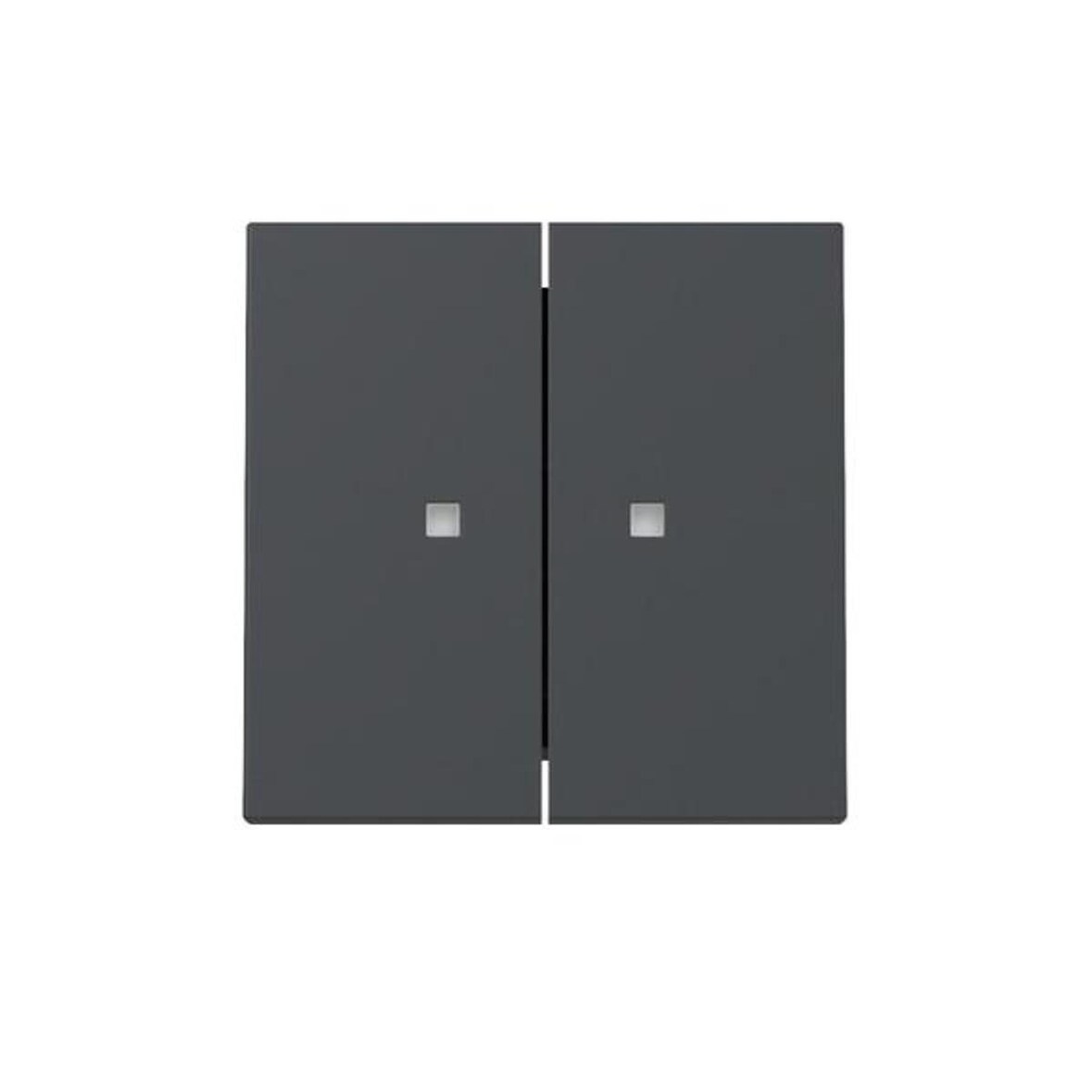 Gira Wippe 2f Kontrollf. 363128