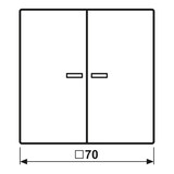 thumbnail of Jung Wippe mit Lichtleiter LC 102 KO5 238 LC102KO5238