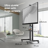 thumbnail of ONKRON Soporte Pie TV con Altura Regulable para pantallas de 50 a 90 pulgadas, hasta 90 kg, Inclinado, VESA máximo 800x600, TS1891-B Negro