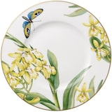 thumbnail of Villeroy & Boch Amazonia Anmut Frühstücksteller / Kuchenteller 22cm