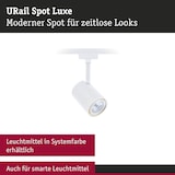 thumbnail of Paulmann URail Spot sur rail Luxe   GU10  max. 10W  gradable 230V Blanc signal 95632