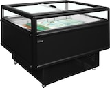 thumbnail of TEFCOLD Impuls-Kühl/Tiefkühlinsel in schwarz   UHD201 /Black 200l Schwarz RAL9005