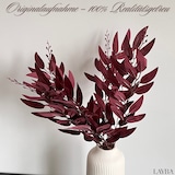 thumbnail of LAYBA Kunst-Eukalyptus Zweige Burgund 3er Set – ca. 50 cm Dekozweige für Vase & Tischdeko