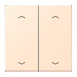 thumbnail of Jung Wippe mit Pfeilsymbolen LC 102 P 238 LC102P238