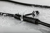 Un connecteur de câble étanche est montré.