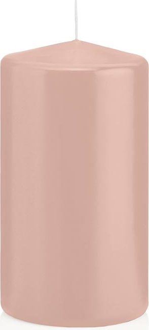 Stumpenkerzen Lachs Ø 48 x 100 mm, 24 Stück