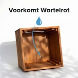 thumbnail of IvoQ Vierkante Plantenbak Hout - Voor Buiten & Binnen - Luxe Houten Bloembak - FSC Gecertificeerd - 40x40x32 cm