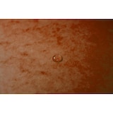 thumbnail of Exacompta 5564E 25x Eckspannmappe mit Gummizug ohne Klappe, aus Colorspan-Karton 400g/m2, für Format DIN A4 - Orange