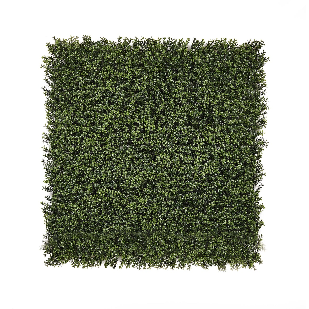 Rollo Jardin Vertical Boj 100 X 100