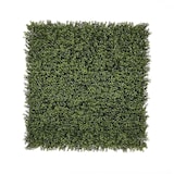 thumbnail of Rollo Jardin Vertical Boj 100 X 100