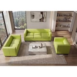 thumbnail of 3-1-1 Conjunto de sofás Conjunto de sofás Sofá Lounge Lille ~ imitação de pele, verde claro