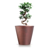 thumbnail of Prosperplast - TUBUS CORTEN 28,5 l Topf – 40 x 40 x 37,3 cm in Kupferfarbe