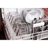 thumbnail of Officina Perin Costatiera da 4 spazi per costate da 800 grammi e 1 spazio da 1,2kg
