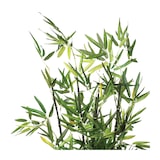 thumbnail of Plante artificielle Bambou en pot H 67 cm