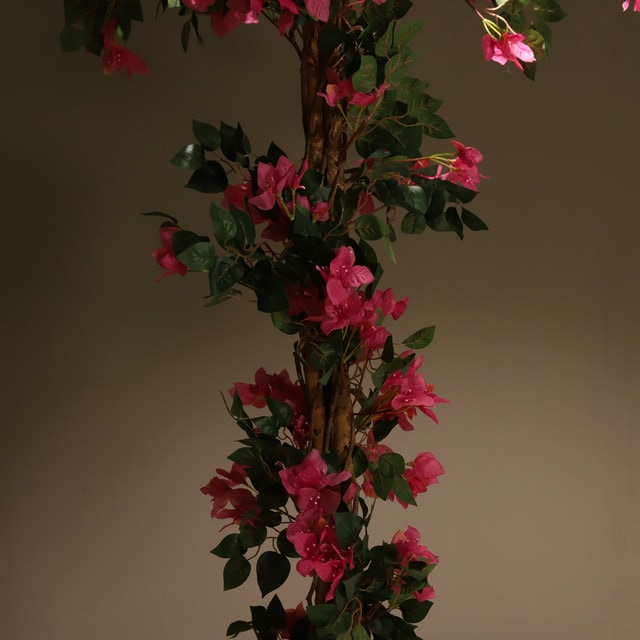 mobile_image