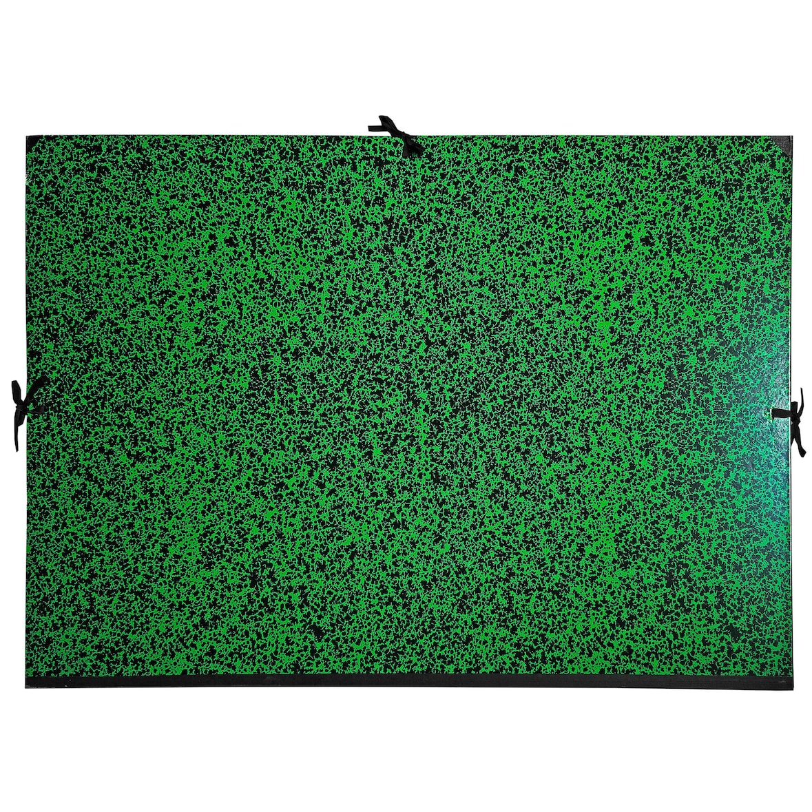 Exacompta 533000E 5x Zeichenmappe mit Bändchen Annonay, 61x76cm - Grün