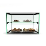 thumbnail of Vitrine Neutra Reta 2 Pisos Com Led 555x390x375 mm