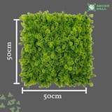 thumbnail of ULM |  Gastronomie Premium Moos Wald Pflanzenwand 50x50cm |Kunstpflanzen Wandmontage Indoor Outdoor| Blätter Wandpaneele Dekoration | Pflanzen Quadrat
